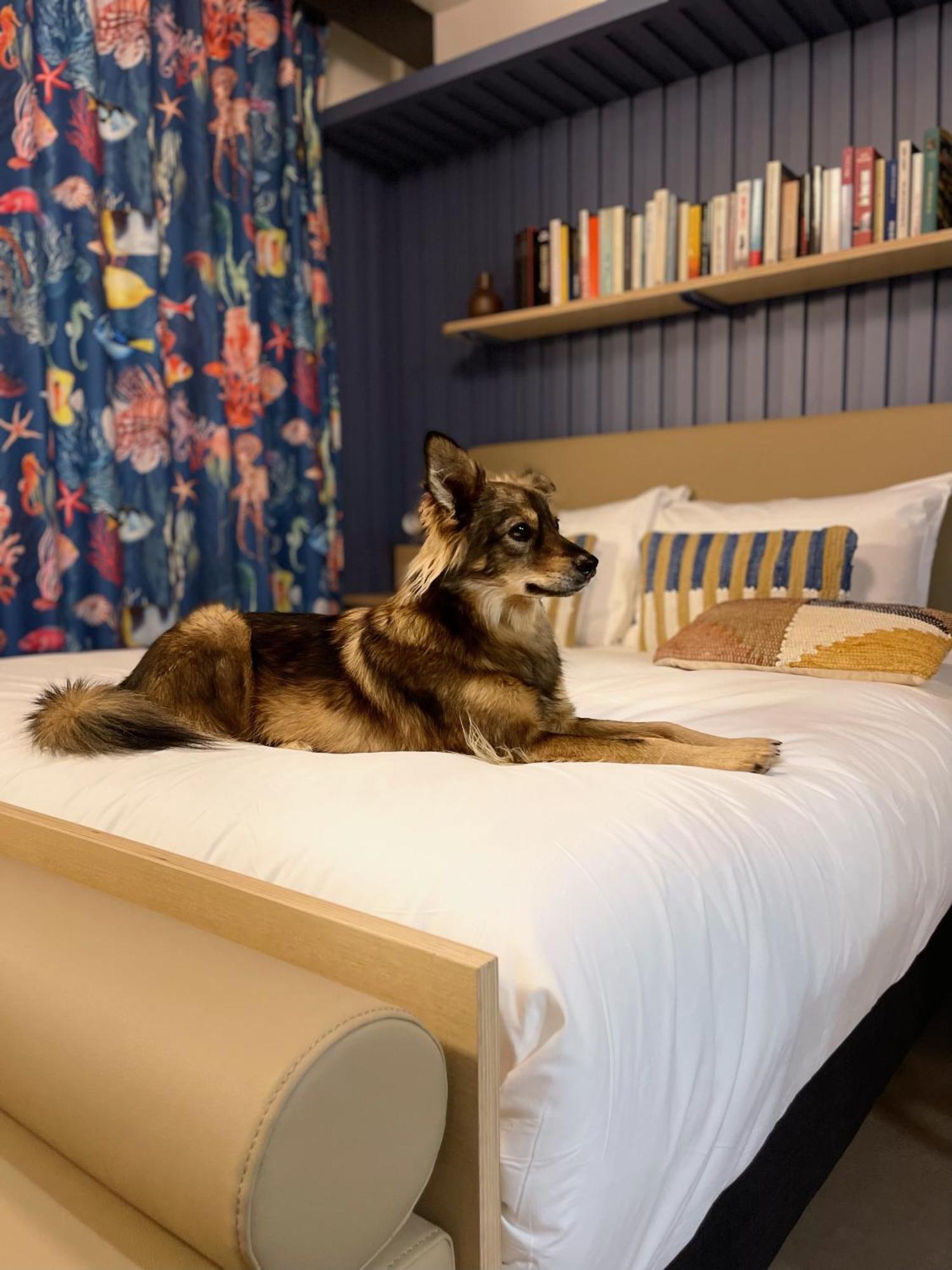 Jost Hotel Le Havre Centre Gare エクステリア 写真